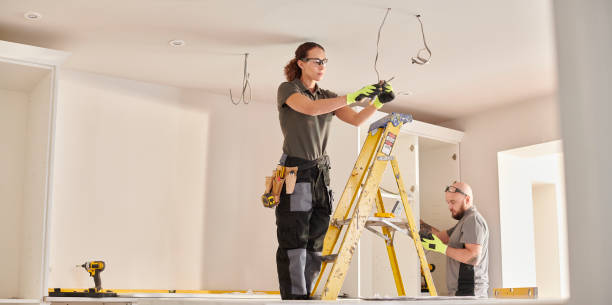 Best Industrial Electrical Services  in Fennville, MI