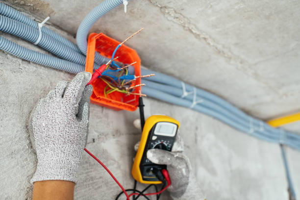 Best Ceiling Fan Installation Electrician  in Fennville, MI